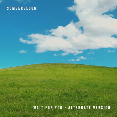 wait for you (alternate version) - Single
