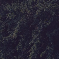 hyperglow - Single - jives