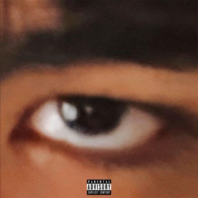LOVE OR LUST (feat. Danny Skates & Grafezzy) - Single