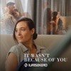 It Wasn't Because Of You