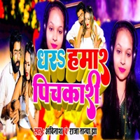 Dhara Hamar Pichkari - Single - Avinash Raja & Tanya Jha