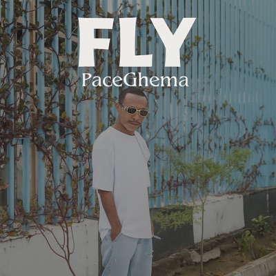 FLY (feat. Lepe) - Single