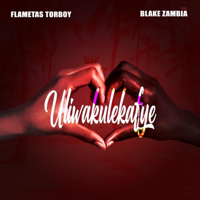 Uli wakulekafye (feat. Blake Zambia) - Single