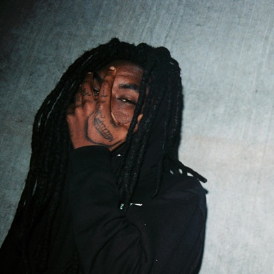 LEARN HOW 2 FINESSE (feat. RXLVND & SOSTUPID) - Single
