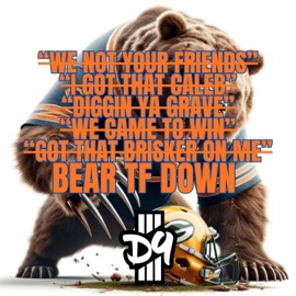 Bear TF Down DJ D9-3