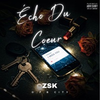 Écho Du cœur - Single - ZSK2CRIME