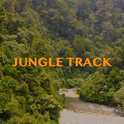 Jungle Track (feat. Ray Denz) - Single