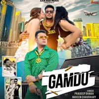 Gamdu - Single - Pradeep Dhaka & Naveen Chaudhary