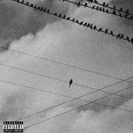 STAINLESS (feat. Tru_jd) Milli