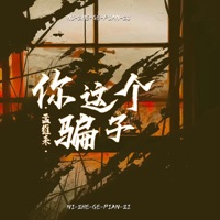 你这个骗子 - Single - 孟維來