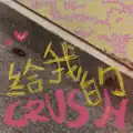 给我的CRUSH