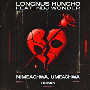 NIMEACHWA, UMEACHWA (feat. Nbj Wonder) [REMIX]