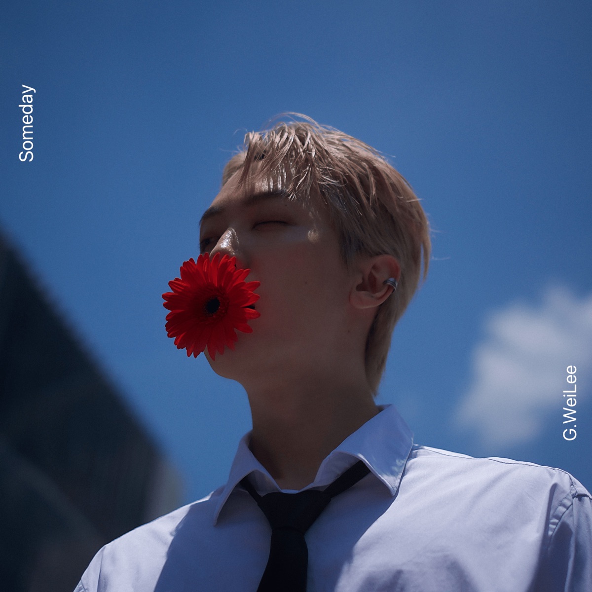 李晉瑋G.WeiLee - Someday - Single (2025) [iTunes Plus AAC M4A]-新房子