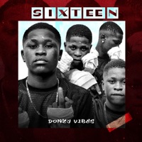 Sixteen - Single - Donzy vibes