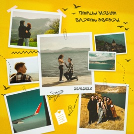 Птицы могут видеть звезды Baltin