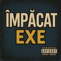 Împăcat - Single - EXE