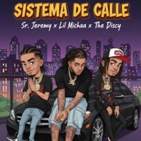 SISTEMA DE CALLE (feat. Sr Jeremy) - Single - La Bella Records, Lil Michaa, The Discy & Julien Beatz