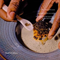 Mise en place - Single - Ifé Neuro