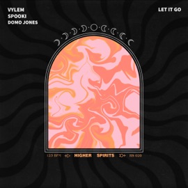 Let It Go (Extended Mix) [feat. Domo Jones] VYLEM & Spooki