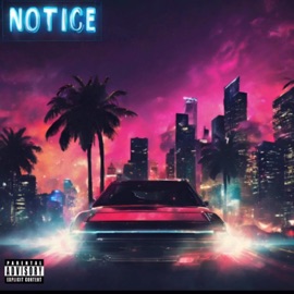 NOTICE SKYDIDIT