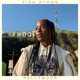Hollywood Single