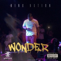 Wonder - Single - Bing Nation