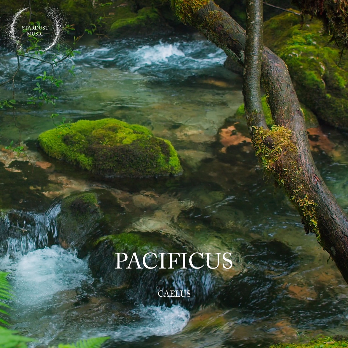 Pacificus by Caelus cover design