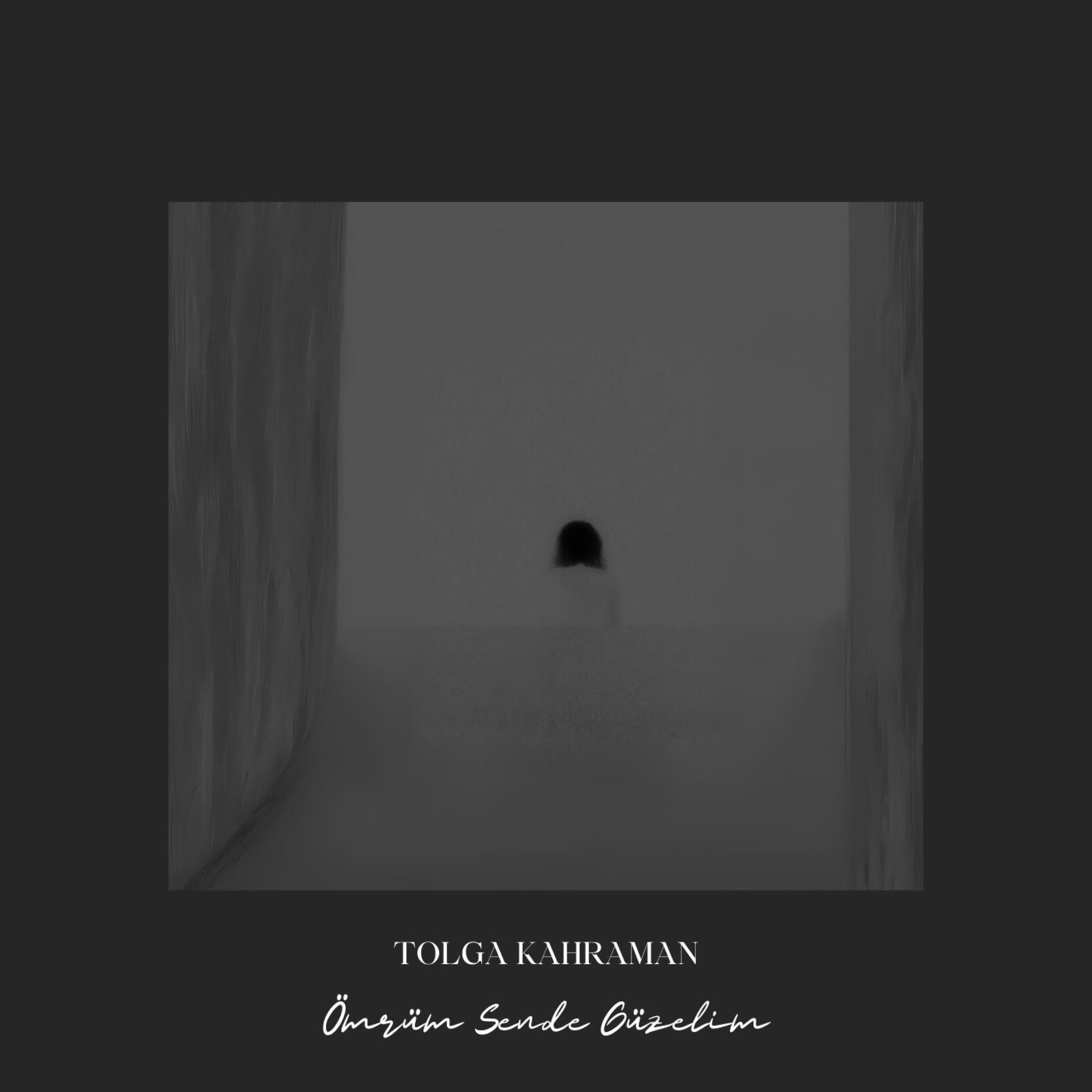 Ömrüm Sende Güzelim - Single