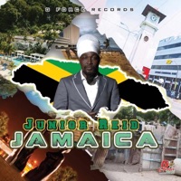 Jamaica (feat. 1Gforce) - Single - Junior Reid