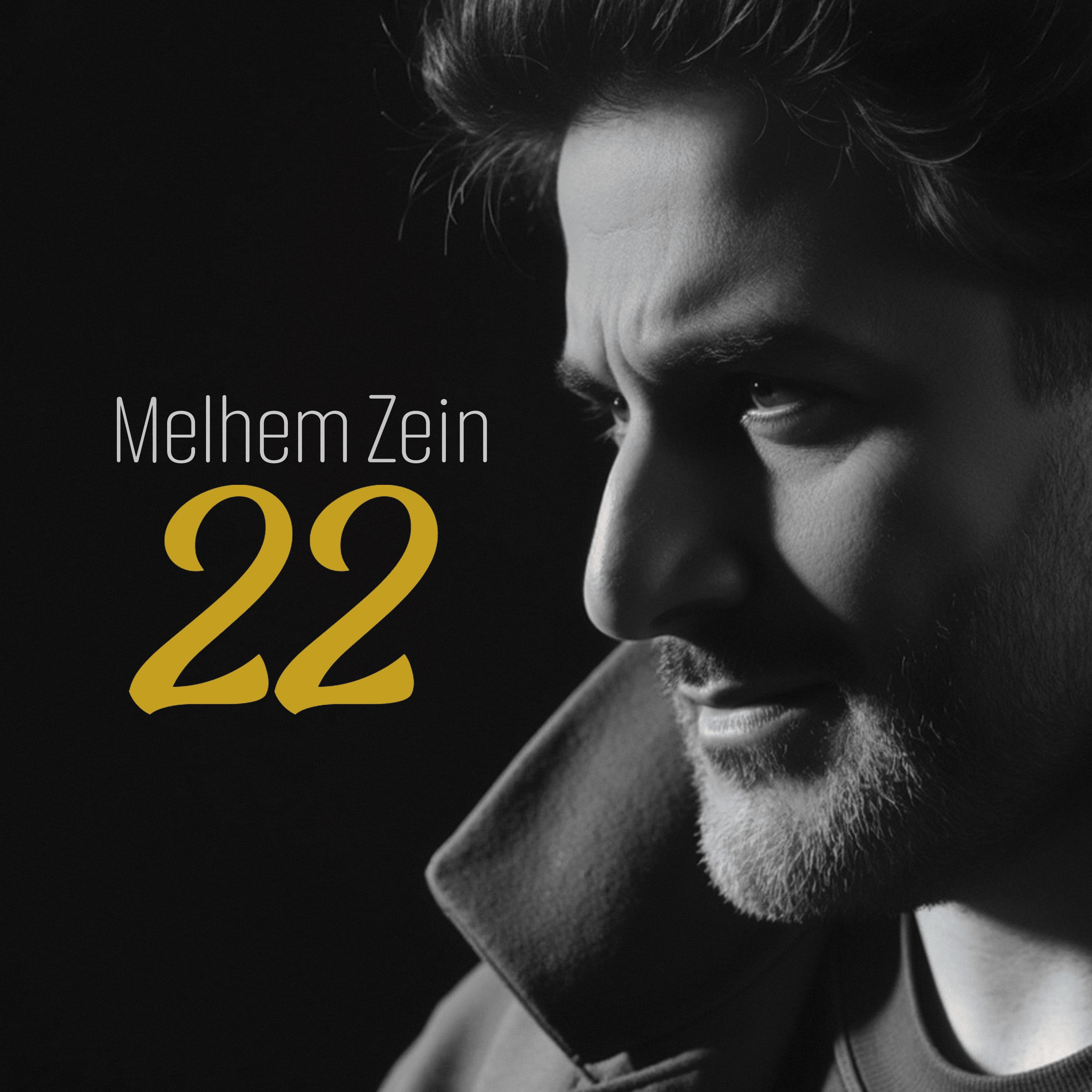 Melhem Zein