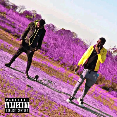 Cold Nshima (feat. Bad Boy) - Single