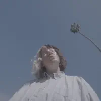FIGHT OR FLIGHT — FINE