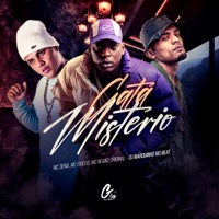 Gata Mistério - Single - Mc Dena, Mc Fidelis & Mc Negão Original