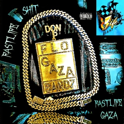 FastLife Shit - Single
