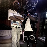 STRUGGLES (feat. Stewart) - Single - Investor BG