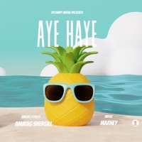 Aye Haye - Single - Anurag Shergill