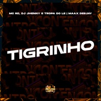 Tigrinho - Single - Mc Rd, DJ JHENNY, TROPA DO LE & Maax Deejay