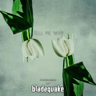 Tell Me Why - Single