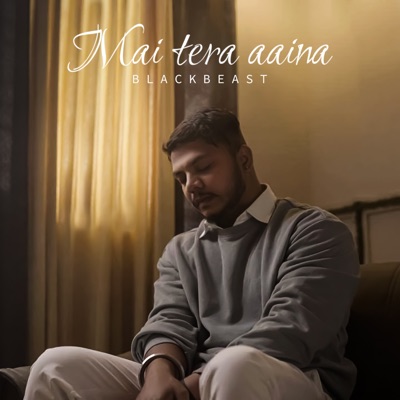 Mai Tera Aaina - Single