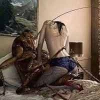 aint enough - Single - lost8