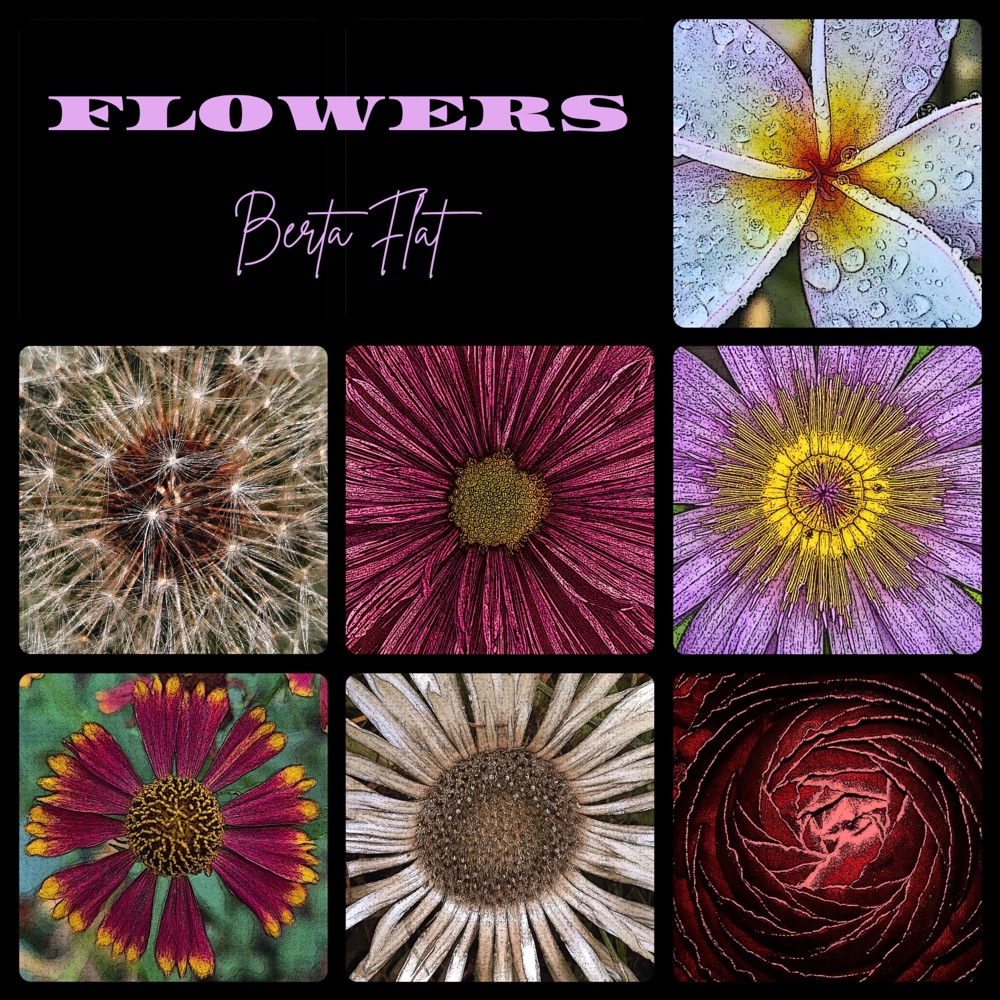 Обложка альбома «Flowers» — Berta Flat