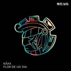 Flor de un Dia - Single