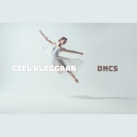 DNCS (1999) - Single - Giel Vleggaar