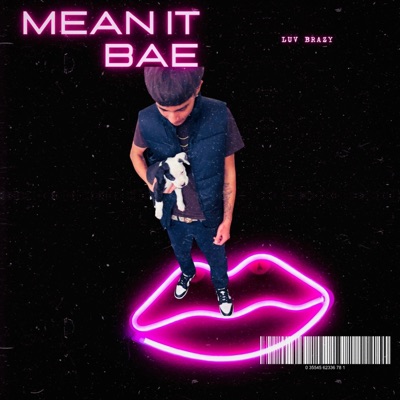Mean It Bae - Single