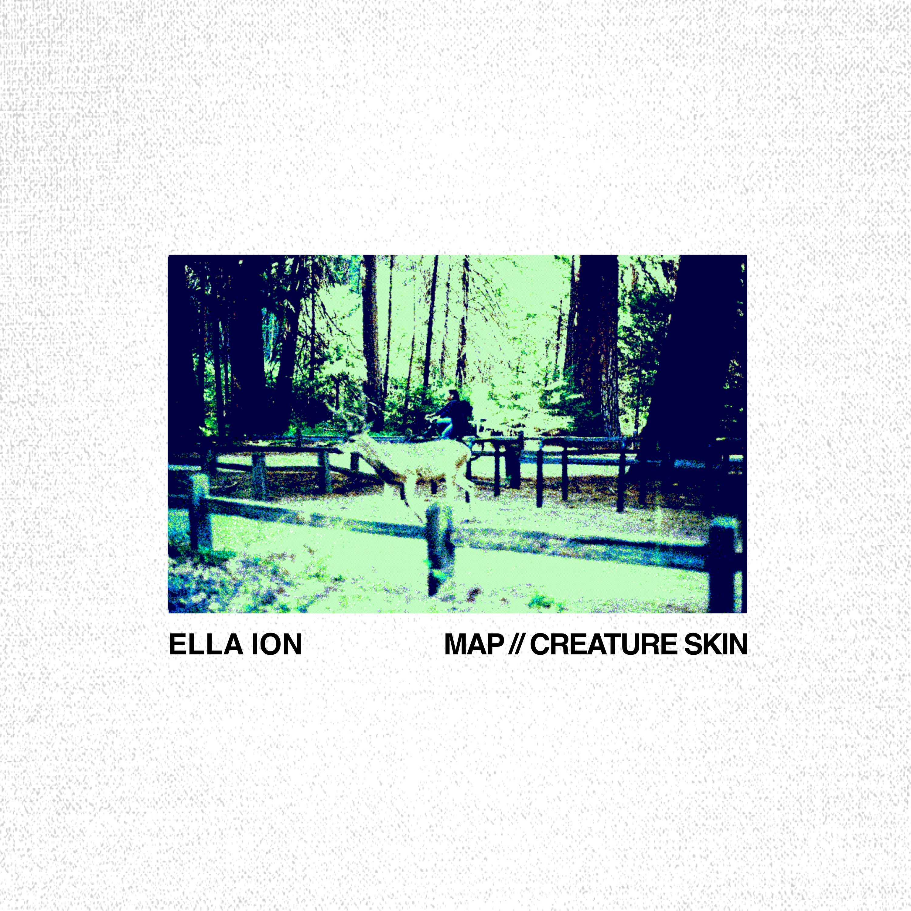 Map // Creature Skin - Single