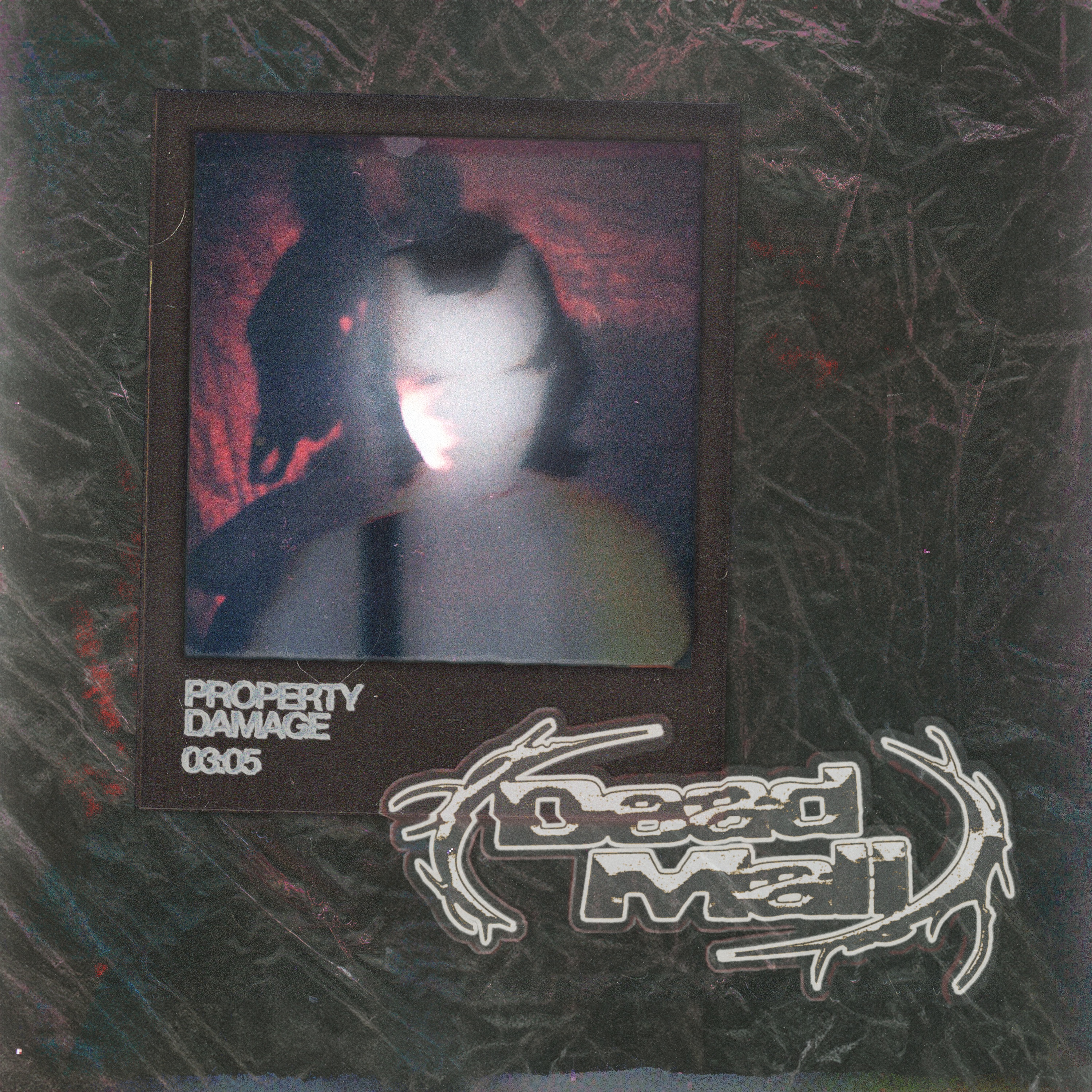 PROPERTY DAMAGE - Single