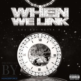 When We Link (feat. Netta B) Los Boi
