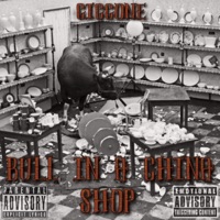 Bull In A China Shop - Single