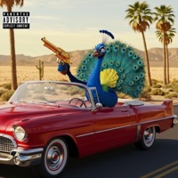 HOOPTIE - Single - Flap Peacock & Stain Lick Records