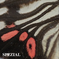 SPZL Battle Weapons - Paradise Circus & Das SPEZIAL
